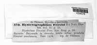 Melanconiella hyperopta image